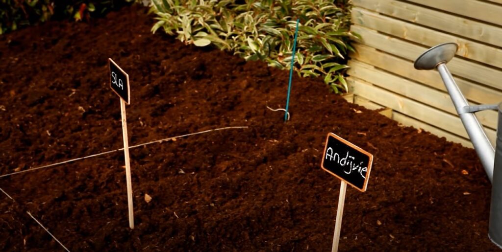 Voorbeeld moestuin indeling.