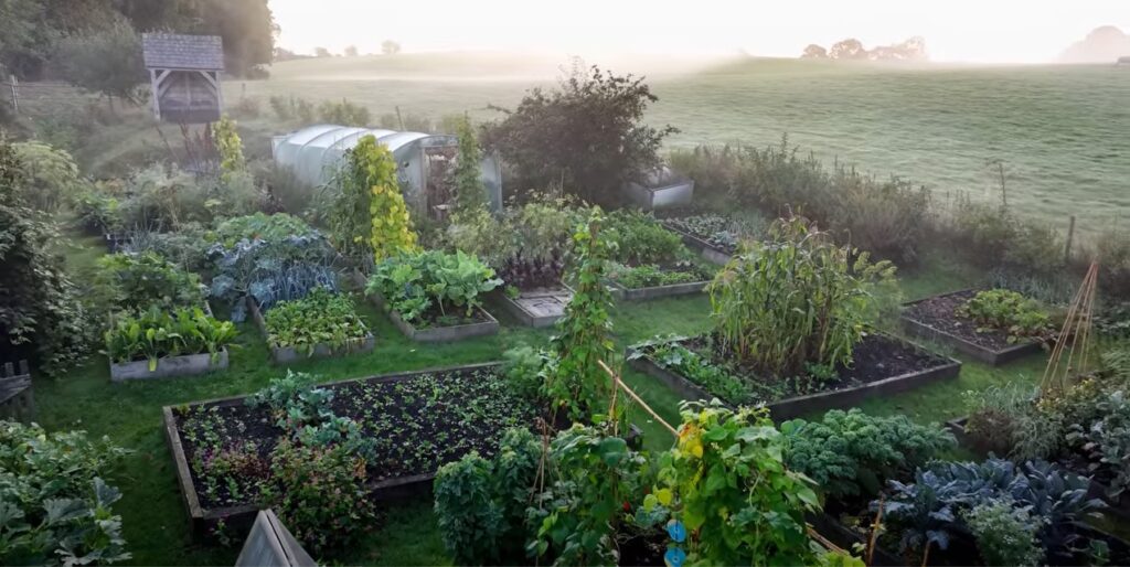 Moestuin in het najaar.